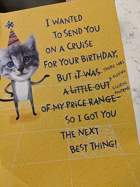 Cartão de aniversário que diz: "Eu queria te dar um cruzeiro de aniversário, mas estava fora do meu orçamento então fui de segunda opção. A parte do orçamento está riscada e eu escrevi em cima: "estávamos no meio da porra da pandemia"