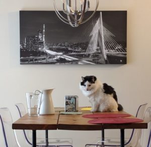 cat over a table with painting at the back